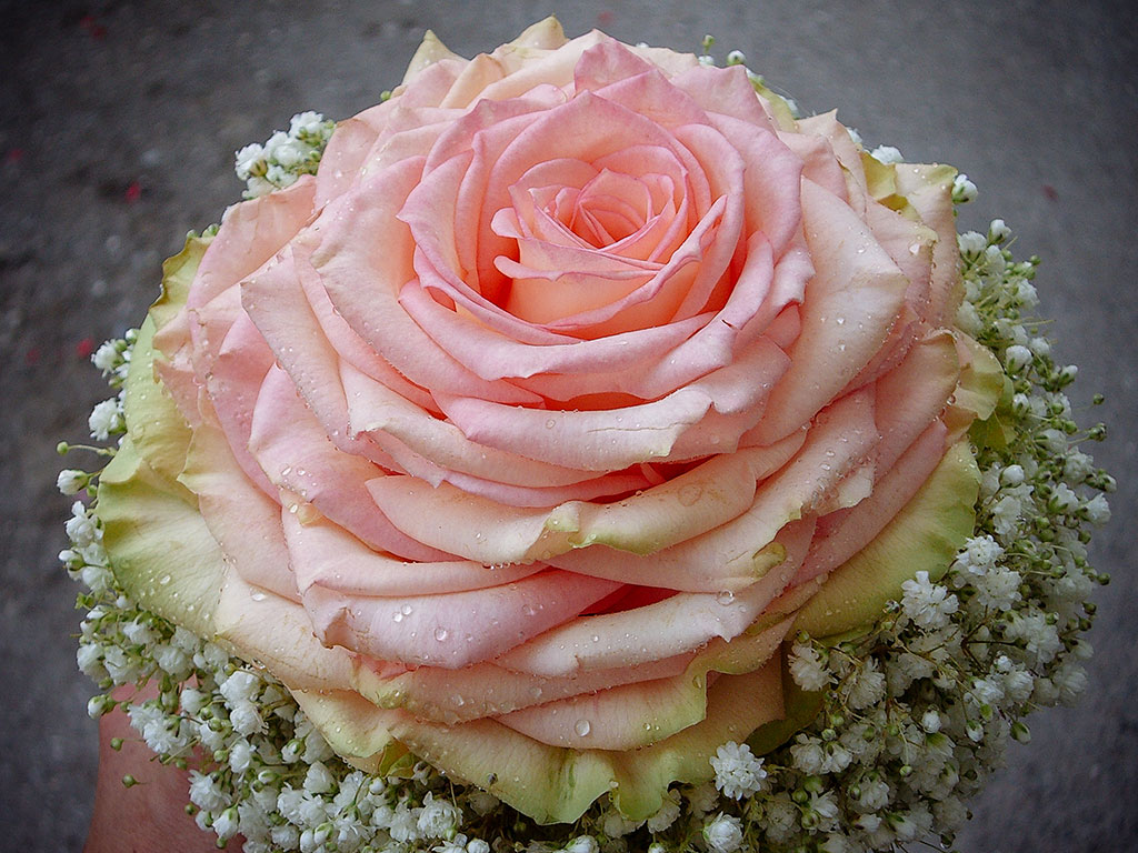 Hochzeit